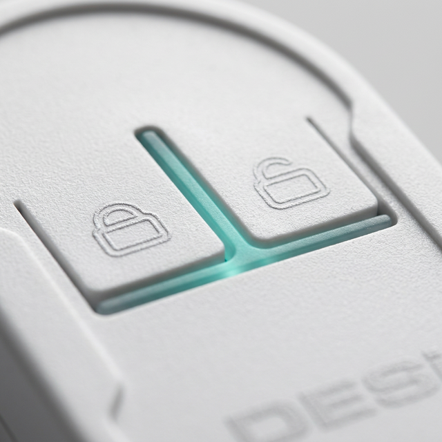 RX Remote Key Fob Detail